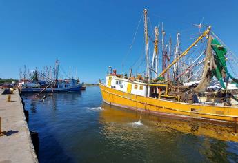 Reactiva pesca de camarón economía de las familias de Topolobampo