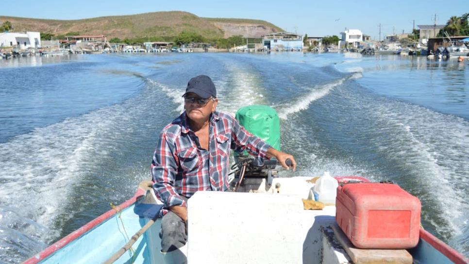 Sanear bahía de Ohuira mejorará condiciones del camarón: cooperativas