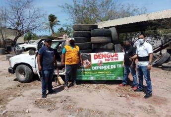 Ha habido 20 casos de dengue en Mazatlán este año