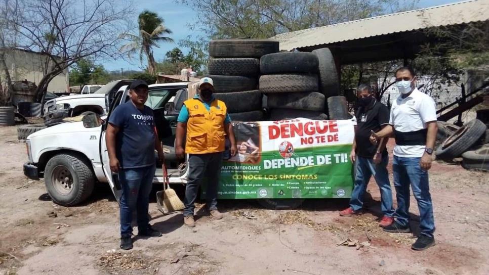 Ha habido 20 casos de dengue en Mazatlán este año