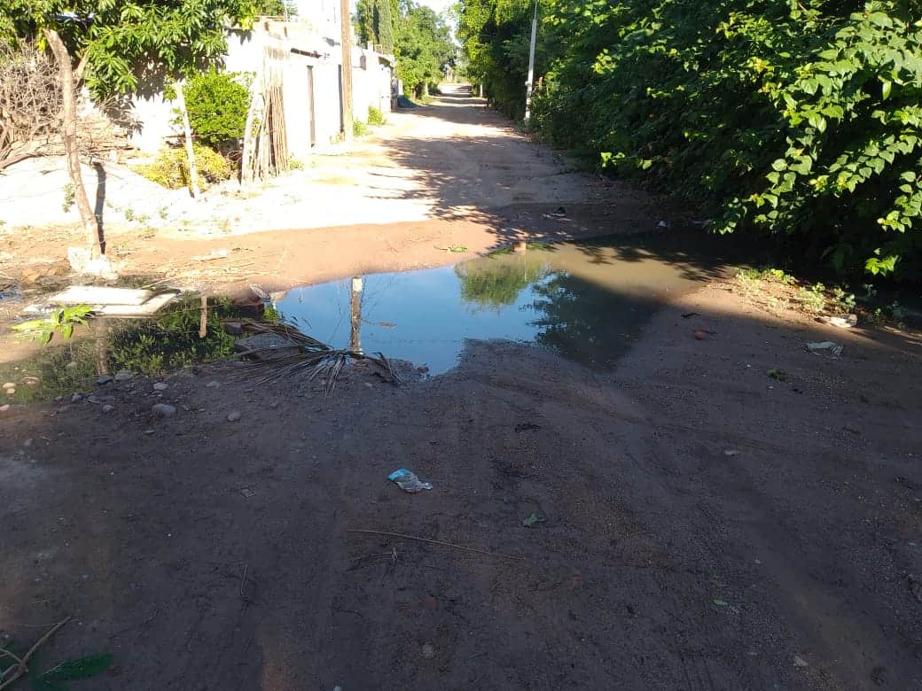 FOTO: Rita Sánchez.