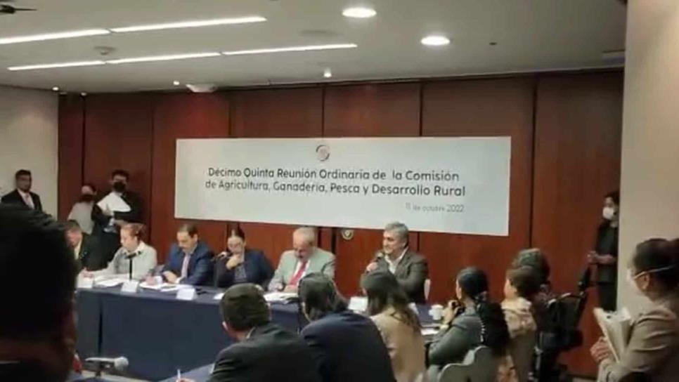 «Eliminación de plaguicidas afectará a agricultura de Sinaloa»: CAADES