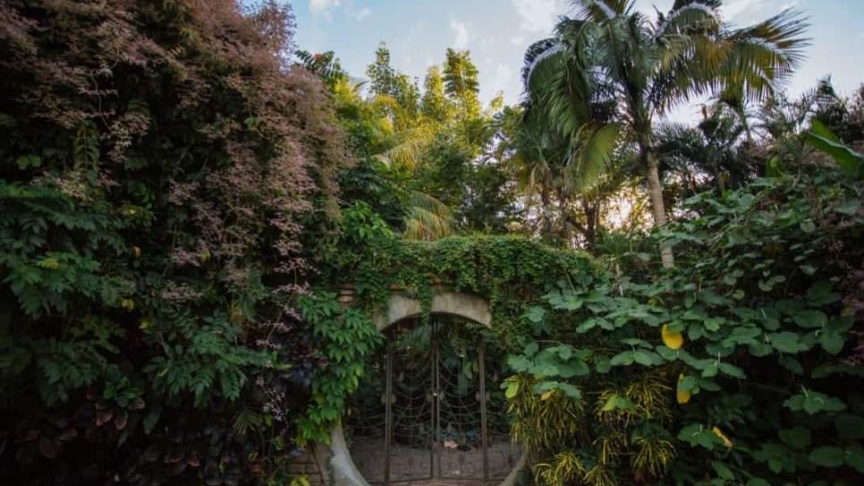 Jardín Botánico de Culiacán, el lugar donde se conservan especies desde hace 35 años