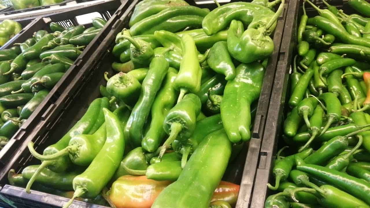 FOTO: Esthela García.