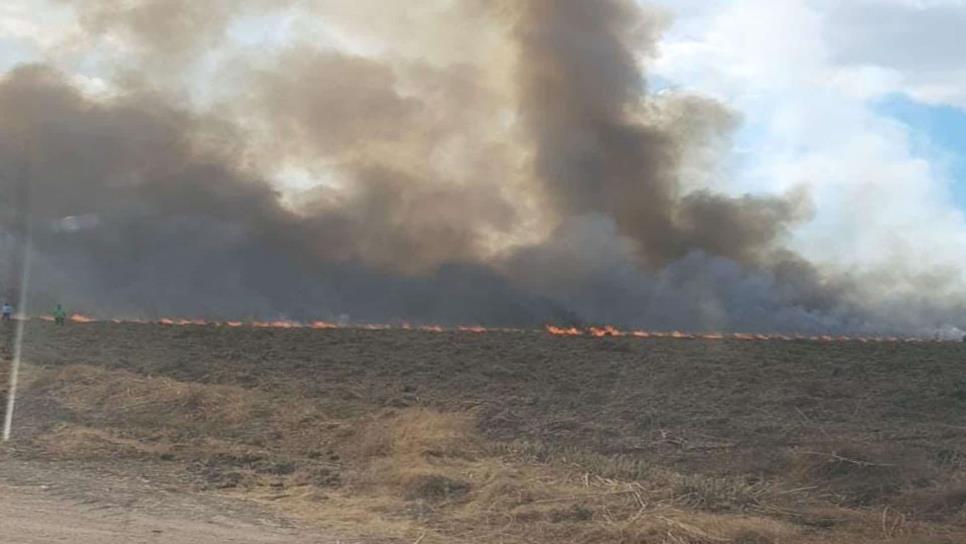 Humareda por quema de espárragos causa movilización de Bomberos