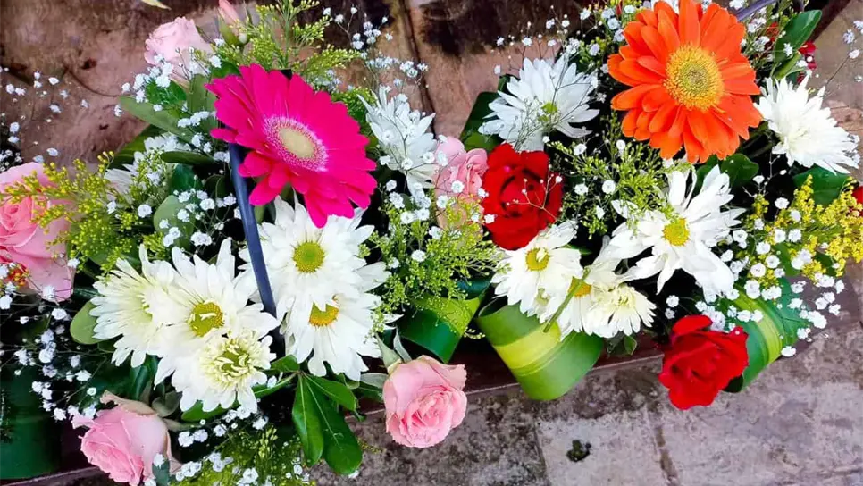 FOTO: Alicia González.