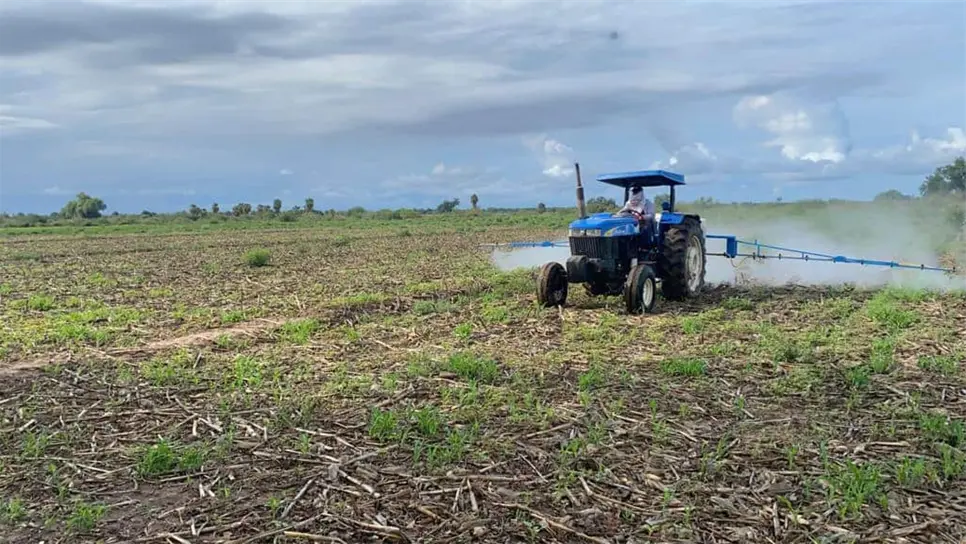 FOTO: Esthela García.