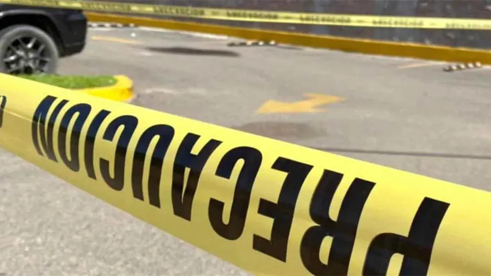 FOTO: Luz Noticias | Temáticas.