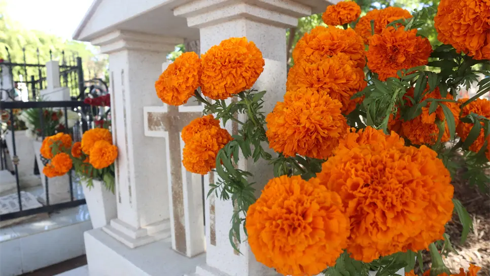 FOTO: Archivo/LuzNoticias.