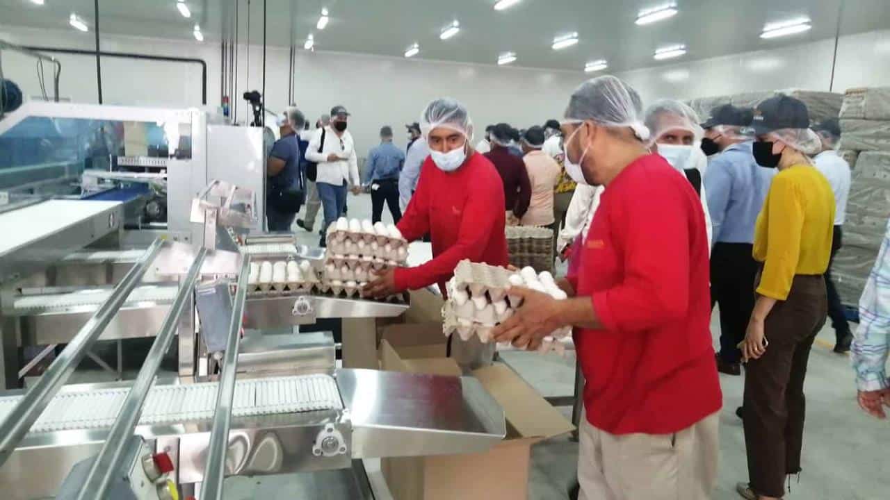 FOTO: Archivo Luz Noticias.