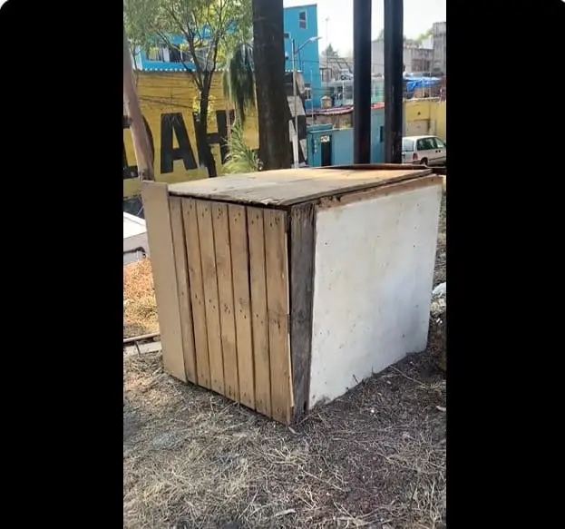 Foto: Captura de pantalla.