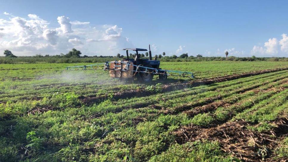 Agricultura deja de ser rentable en Sinaloa