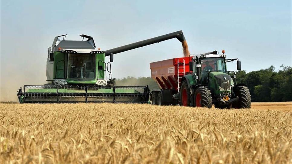 Ucrania reanuda exportaciones y cae precio del Trigo