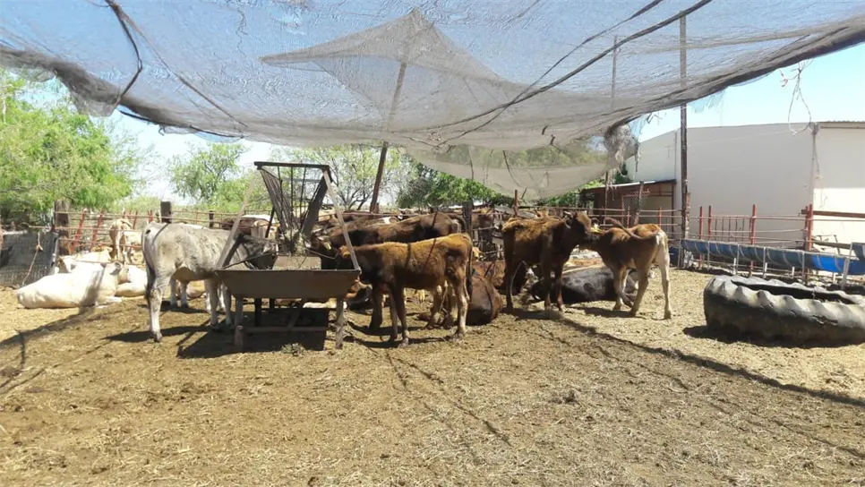 FOTO: Esthela García.