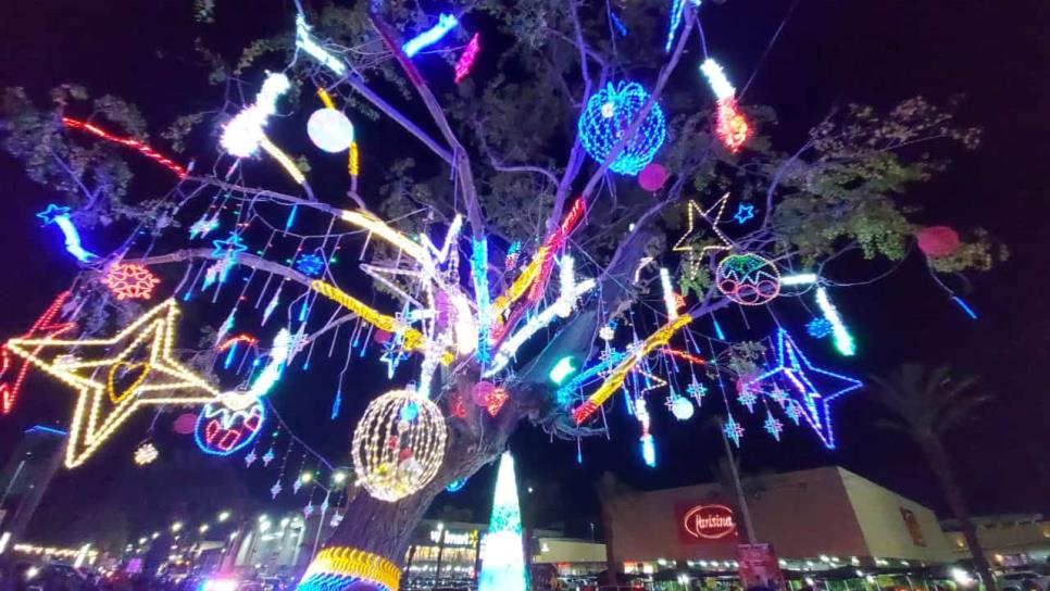 ¡La Navidad llega a Los Mochis! Encienden árboles y luces en diversos puntos de la ciudad