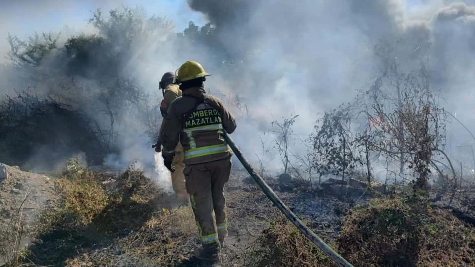 Incendios en lotes baldíos de Mazatlán demandan más del 50% de atención de Bomberos