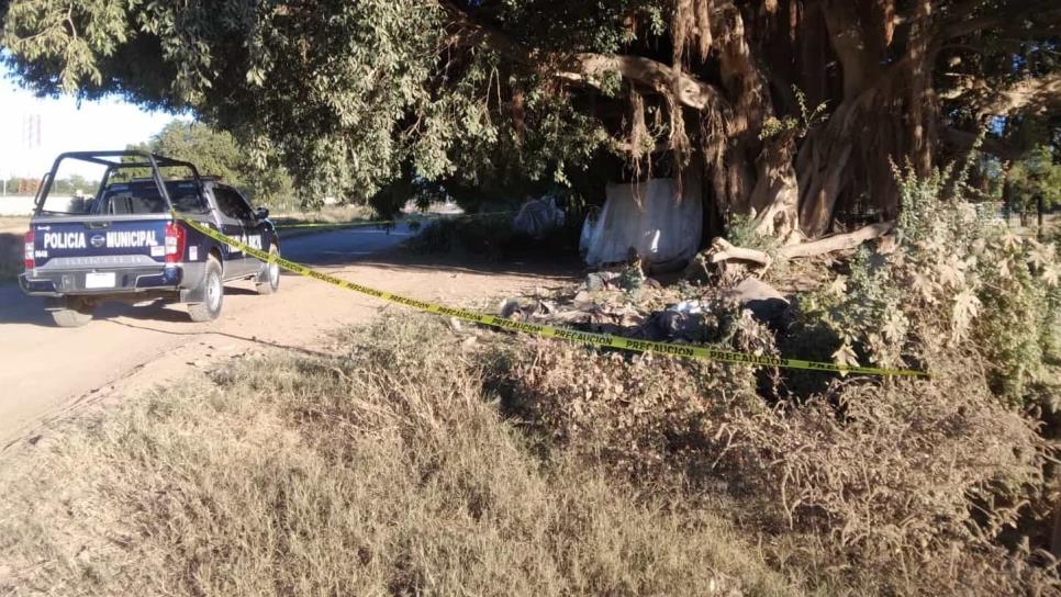 Hombre localizado abajo de álamo en Tecomate fue asesinado a golpes