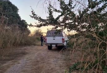 Localizan dos cráneos y restos humanos en zona enmontada frente al Hospital de La Mujer