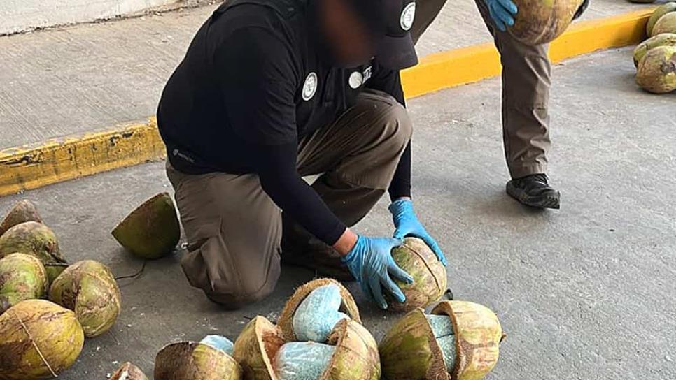 México decomisa 300 kilos de fentanilo en cocos cerca de frontera con EU
