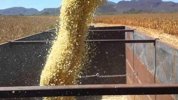 Nota Relacionada de Agro