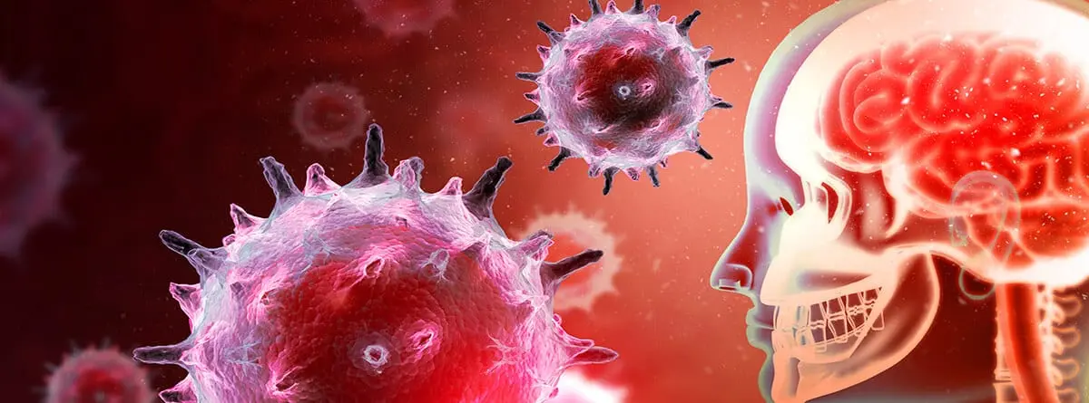 Muere otra joven a causa de meningitis en Durango; van 37 víctimas. | FOTO: Internet.