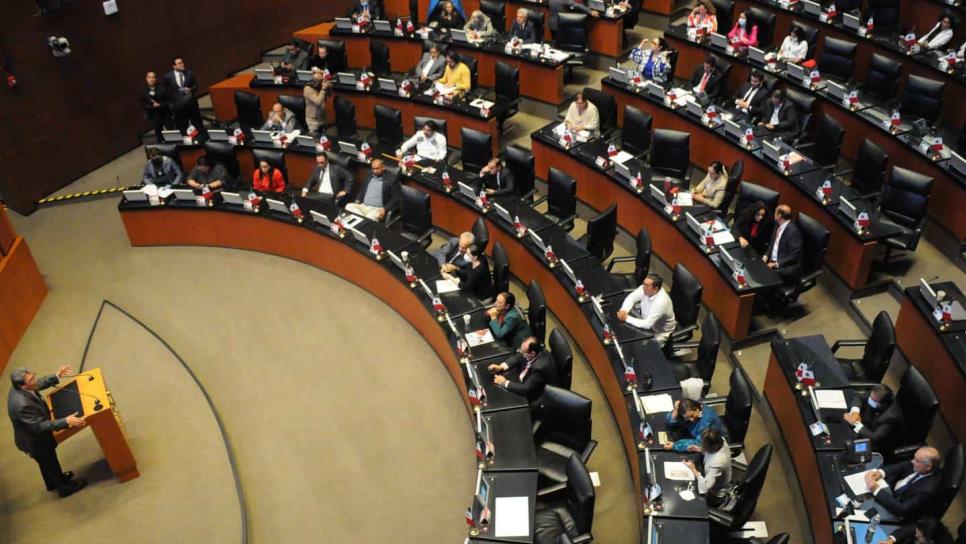 ¡A disfrutar! Senado aprueba los 12 días continuos de vacaciones en el primer año de trabajo