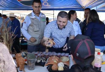 Realizan en Badiraguato el primer Tianguis Campesino