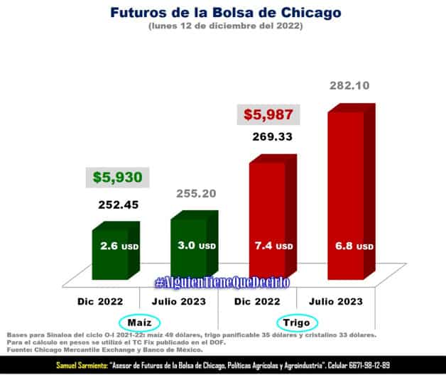 Imagen Placeholder Imagen Placeholder