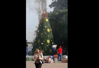 Se quema pino navideño en la explanada de la SEPyC