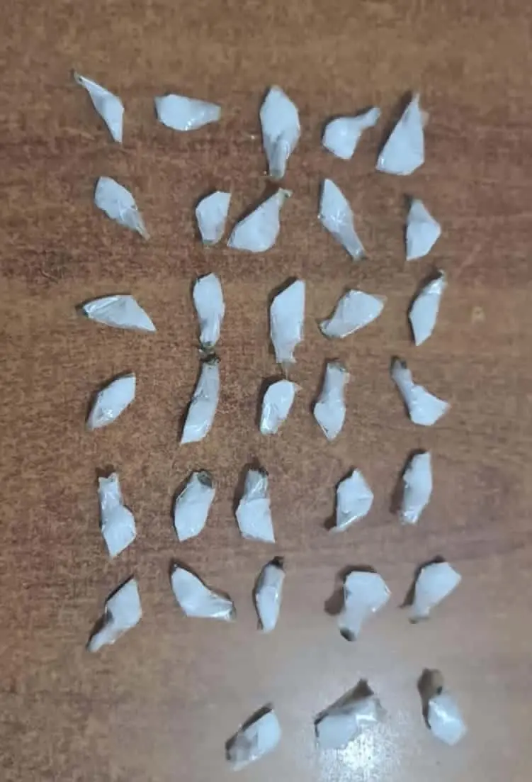 FOTO: Brandon Sainz.