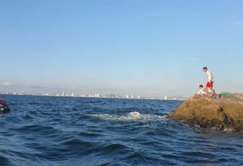 Ecología de Mazatlán lamenta que lobos marinos vivan en el peligro, por artes de pesca