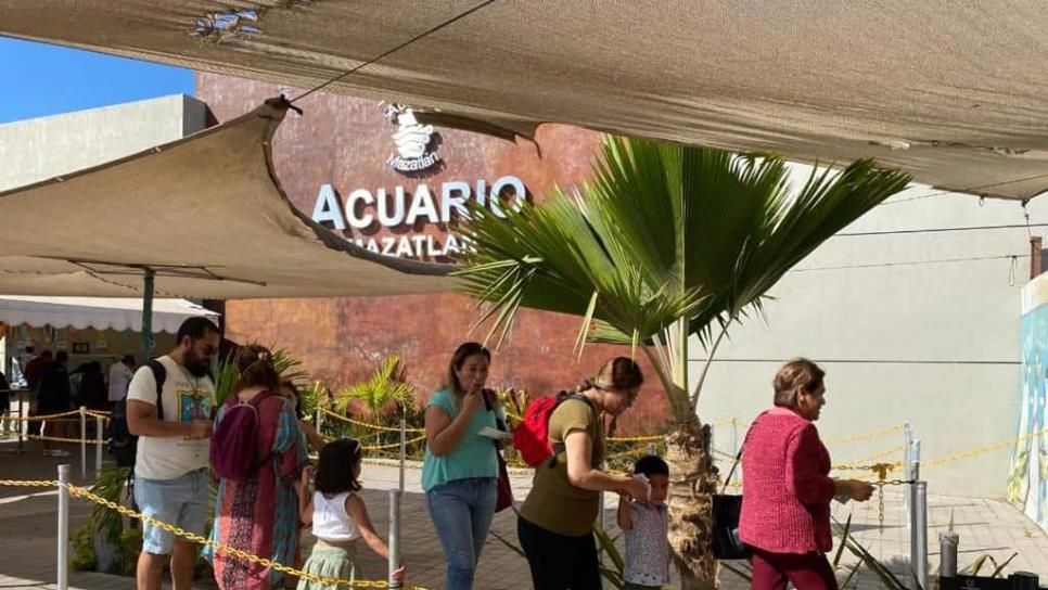 Acuario Mazatlán espera derrama de 10 mdp por fechas decembrinas