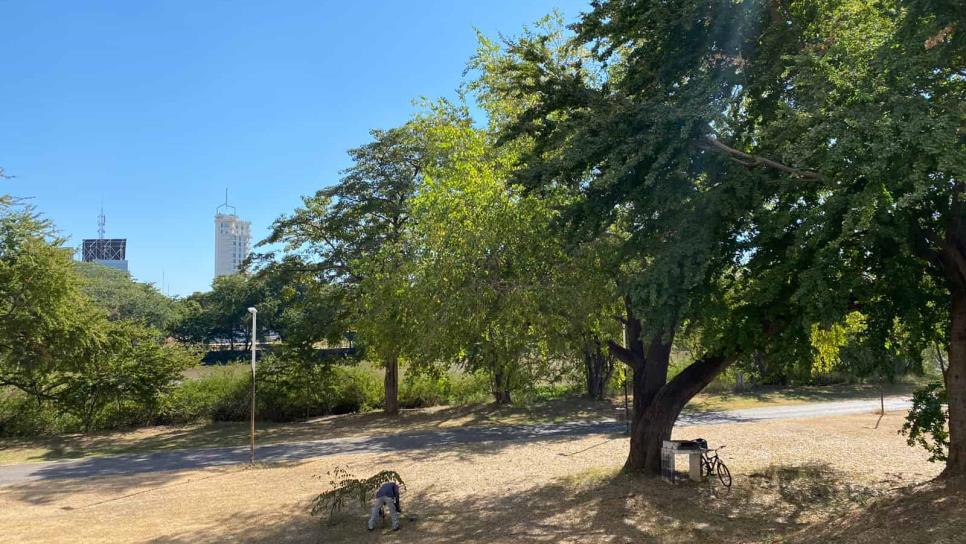 Culichis le dicen «sí» al puente vehicular frente a Fórum