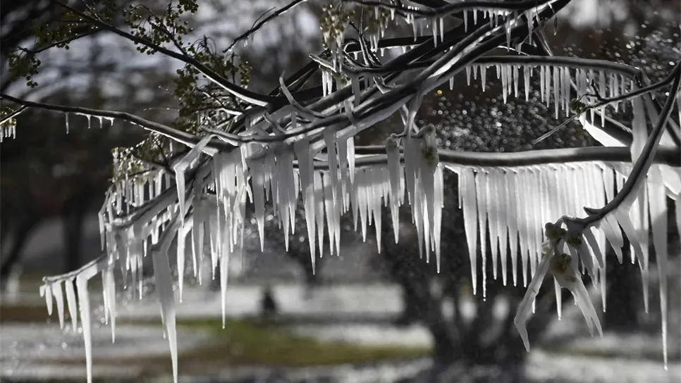 Pronostican heladas en 23 estados este miércoles