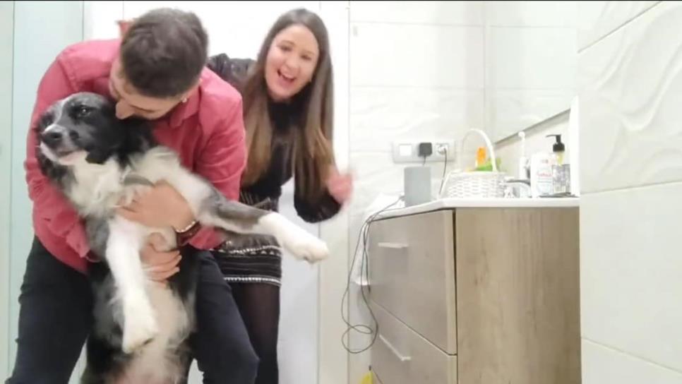 Jóvenes se encierran con su perrito en el baño para protegerlo de los fuegos artificiales | VIDEO
