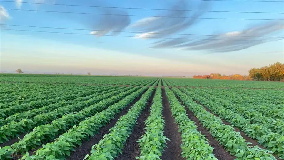 FOTO: Esthela García.