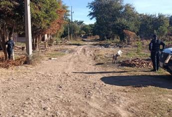 Localizan a hombre asesinado en el sector San Joachín de Guasave