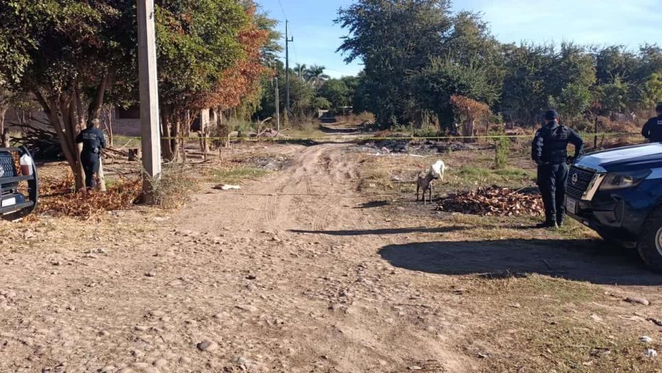 Localizan a hombre asesinado en el sector San Joachín de Guasave