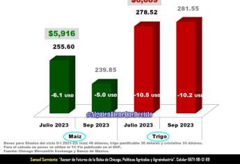 Estiman baja en demanda de maíz y trigo