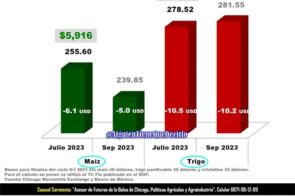 Estiman baja en demanda de maíz y trigo Estiman baja en demanda de maíz y trigo
