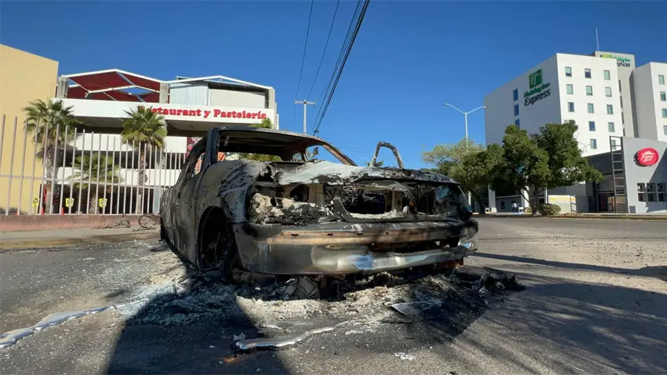 FOTO: Luz Noticias | Temática.