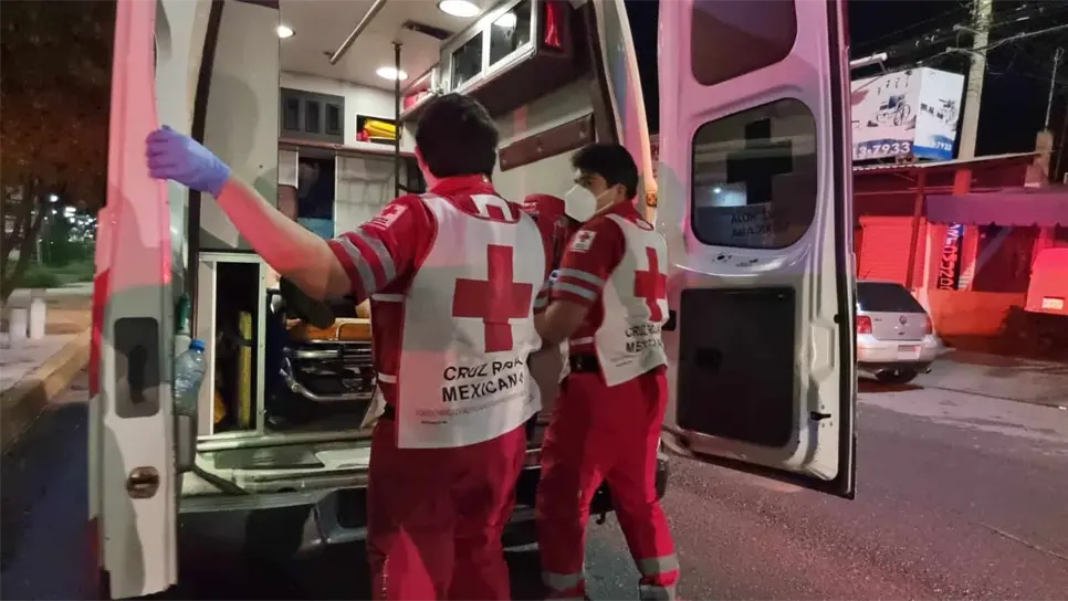 FOTO: Tematica | Luz Noticias.