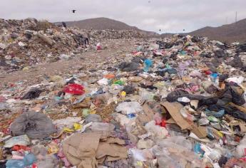 Denuncian problemas de basura en Los Mochis