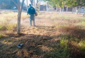 Ayuntamiento de Ahome va por embellecimiento de las 7 sindicaturas