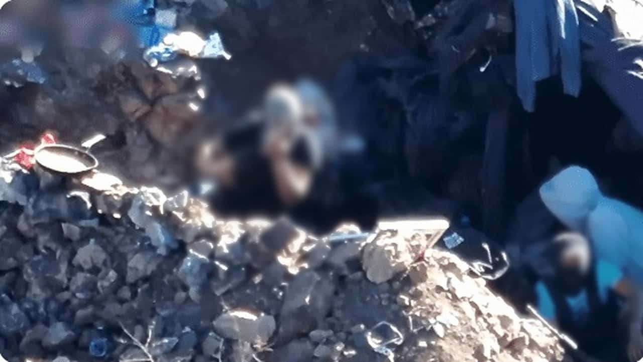 FOTO: Captura de pantalla.