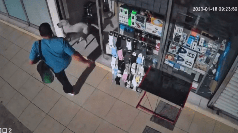 FOTO: captura de video.