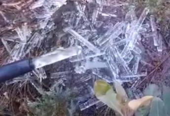 Sale hielo de las mangueras en Santa Gertrudis, Badiraguato