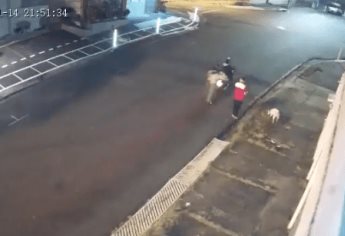 Perrito salva a su dueño de un asalto a pesar de los balazos | VIDEO