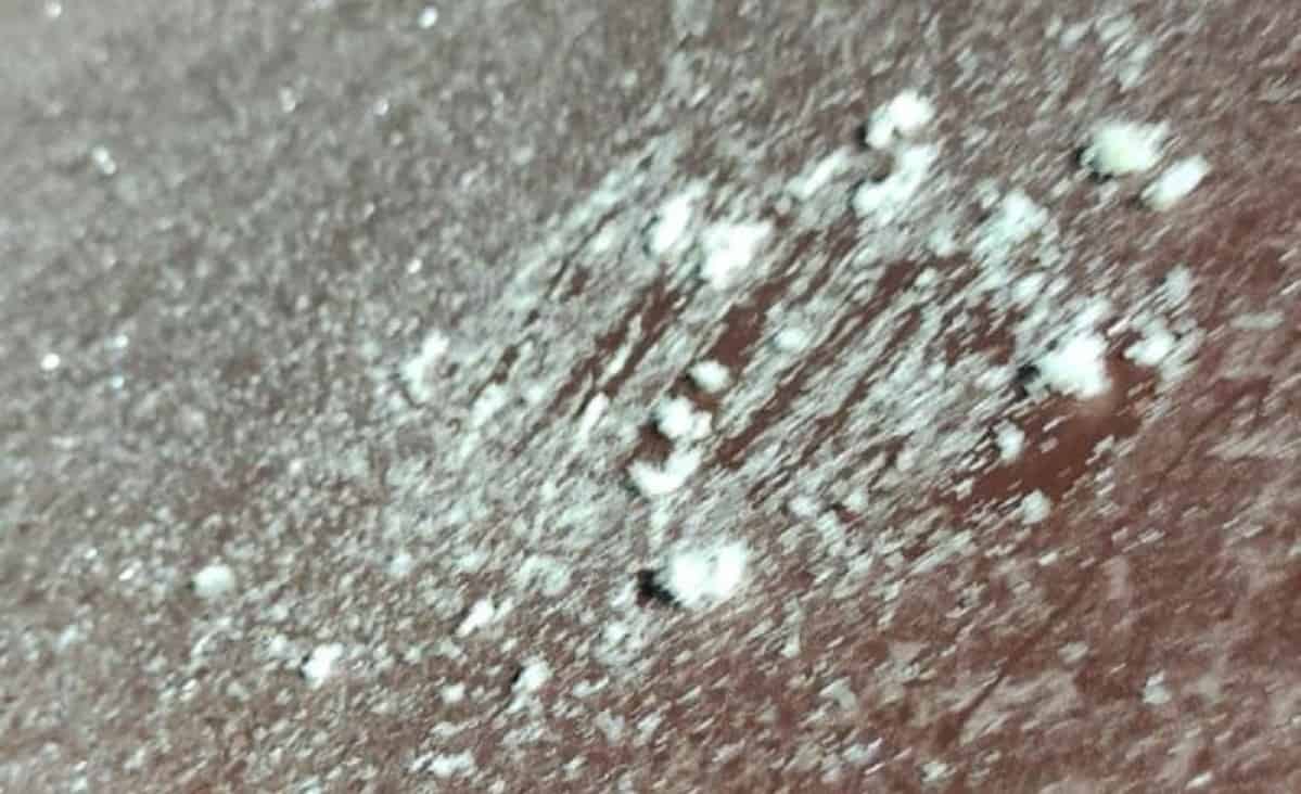 Así amanecieron cubiertos de hielo los autos en El Fuerte. FOTO: Cortesía.