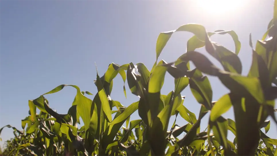 FOTO: Martín Ruiz | Temática.